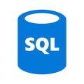 Software development company techstack - SQL